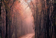 6T体育官网：10人皇马逆转胜巴伦西亚 登顶西甲榜首.