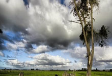 怒扔球拍缺席记者会 梅德韦杰夫遭罚款逾10万元.