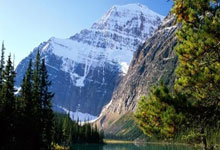 不用质疑，早上空腹有氧燃脂效果最好.