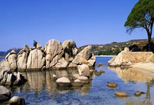 从马鞍山到六安到深圳，资格赛上，中国选手在进步.